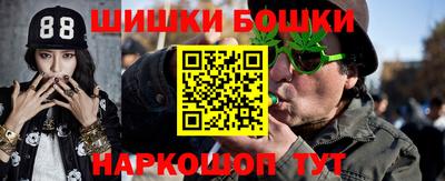 гашик Будённовск