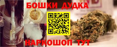 гашик Будённовск
