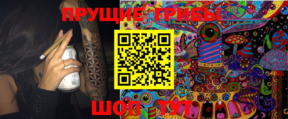 Галлюциногенные грибы Psilocybe  Вход с VPN  Новозыбков 